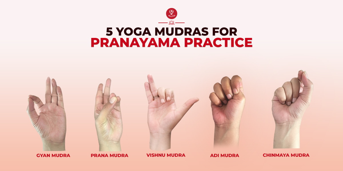 Mudras For Pranayama