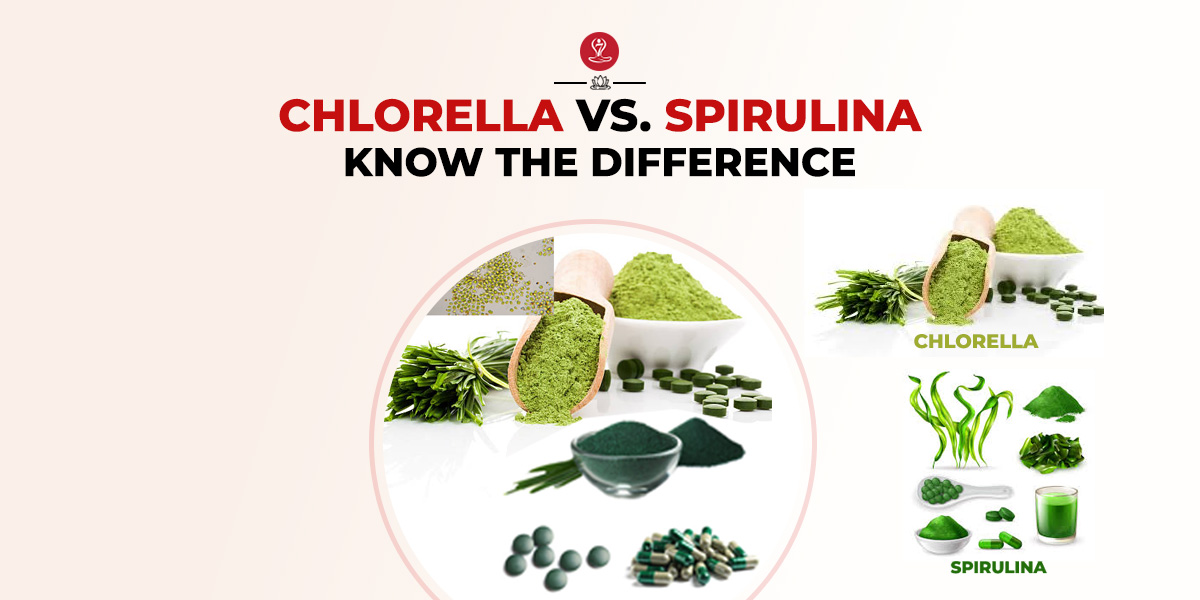 Chlorella vs. Spirulina: Know The Difference