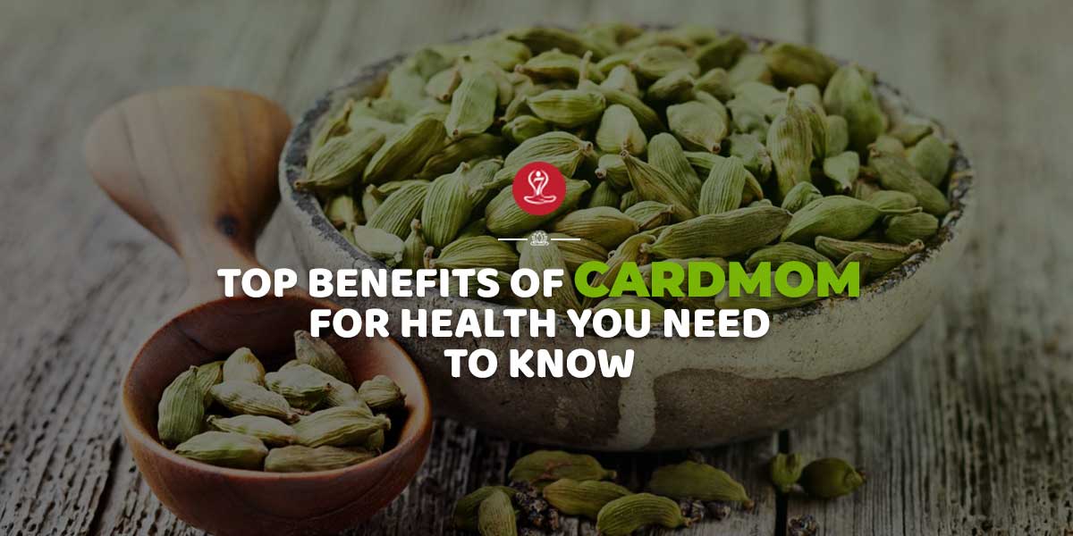 Benefits of Cardamom