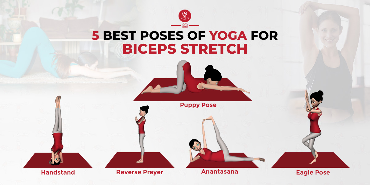 Yoga For Biceps Stretch